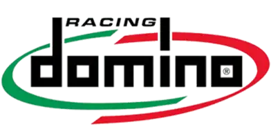Domino